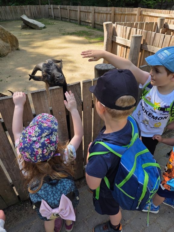 Výlet MŠ do Zoo Liberec