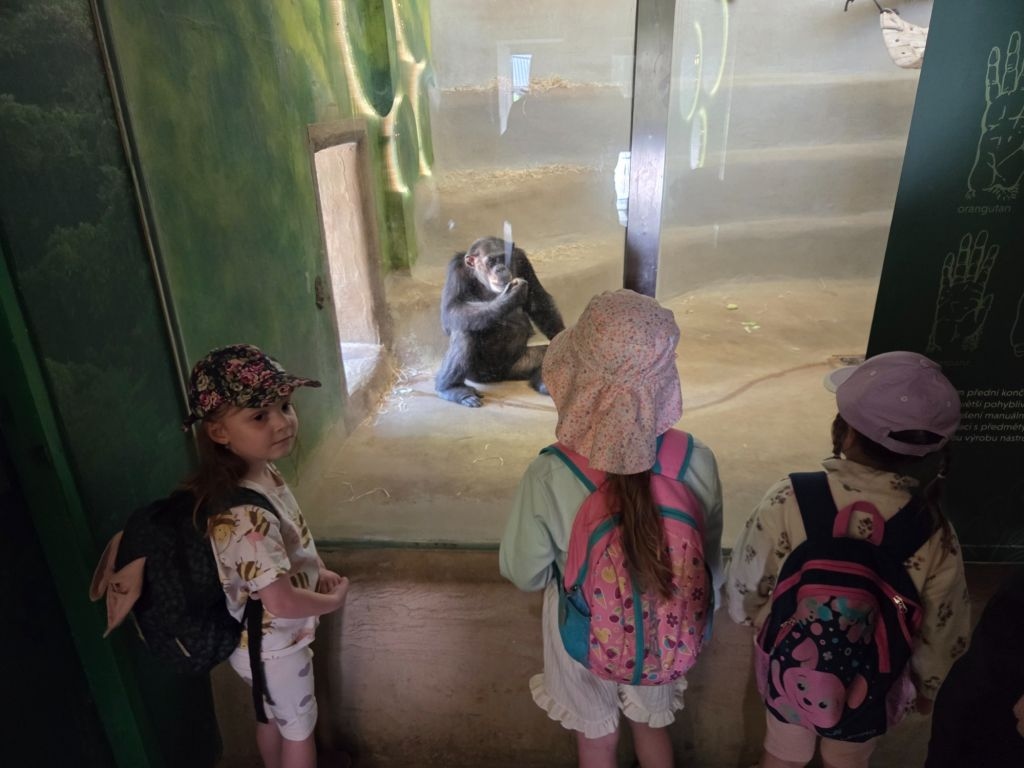 Výlet MŠ do Zoo Liberec