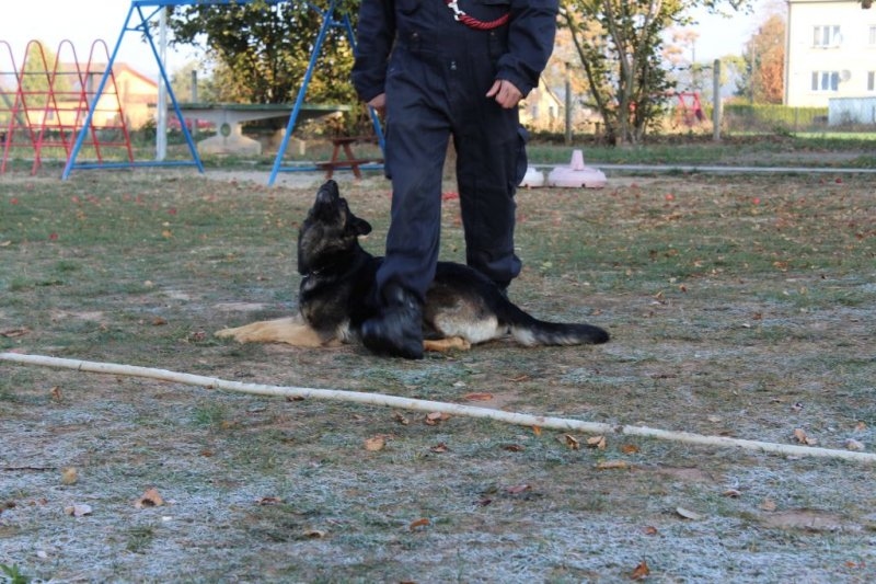 Návštěva od policie – 22. 10. 2018 - Image 6