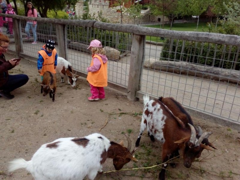 Výlet 14. 5. 2019 –  Park Mirakulum - Image 19