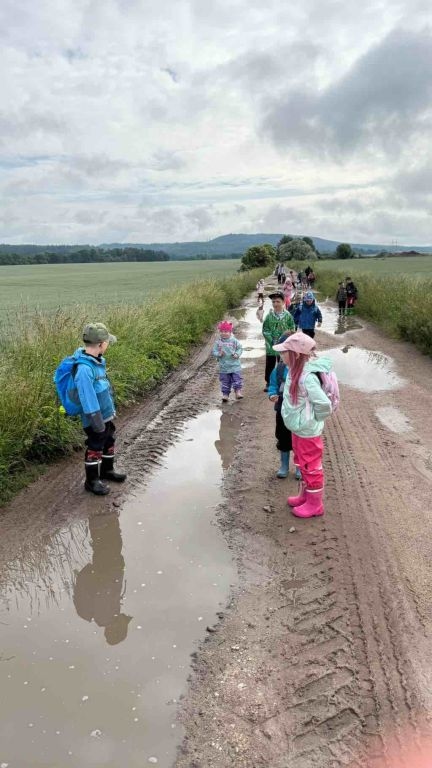 Pěší výlet do Úlibic k oboře s daňky a muflony - 12. 6. 2026