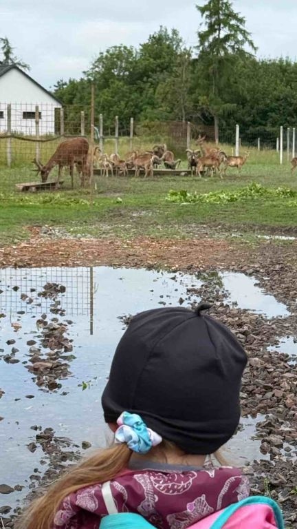 Pěší výlet do Úlibic k oboře s daňky a muflony - 12. 6. 2026
