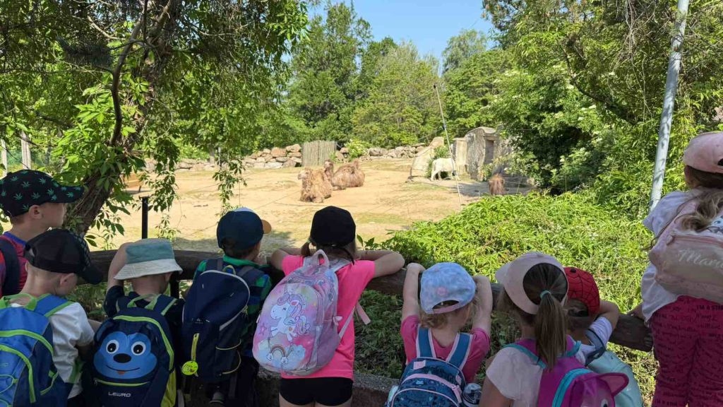 Výlet MŠ do Zoo Liberec