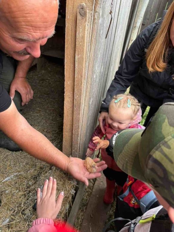 Pěší výlet do Úlibic k oboře s daňky a muflony - 12. 6. 2026