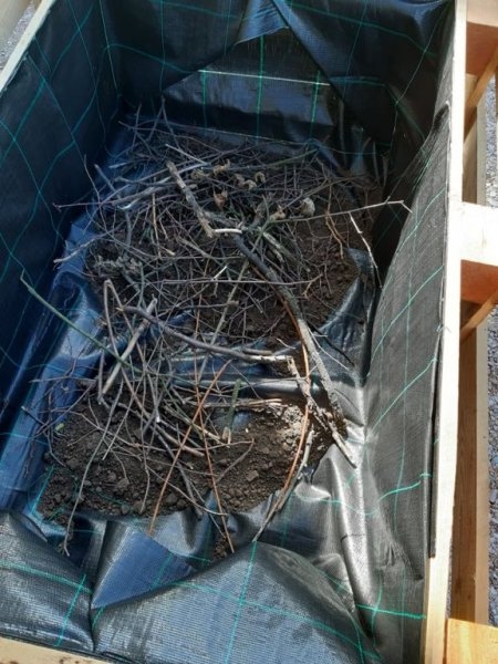Bosá zahradní slavnost – 19. 9. 2019 - Image 13